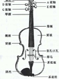避免被站外镜像带偏